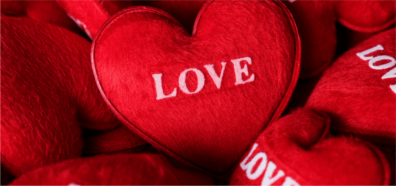 Valentine’s Day: Hospitality Survival Guide